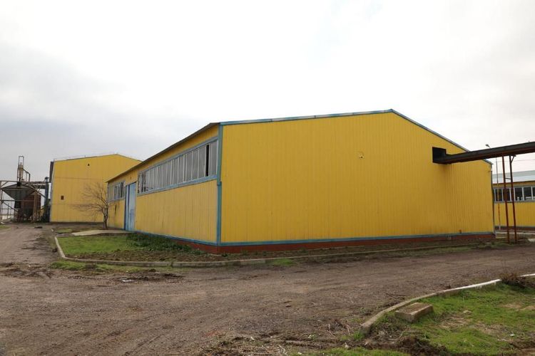 ТҮРКІСТАН: МАҚТААРАЛДА ТӘУЛІГІНЕ 100-150 ТОННА МАЙЛЫ ДАҚЫЛ ӨҢДЕЙТІН ЗАУЫТ ІСКЕ ҚОСЫЛДЫ